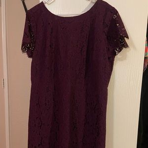 NWT Loft dress